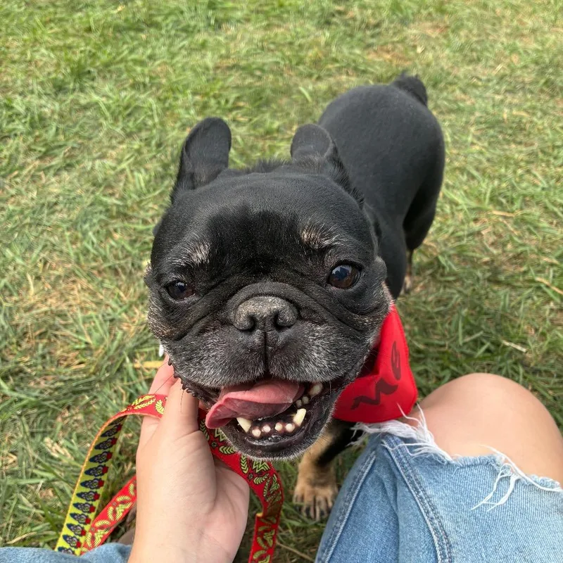 Betty thumbnail 3