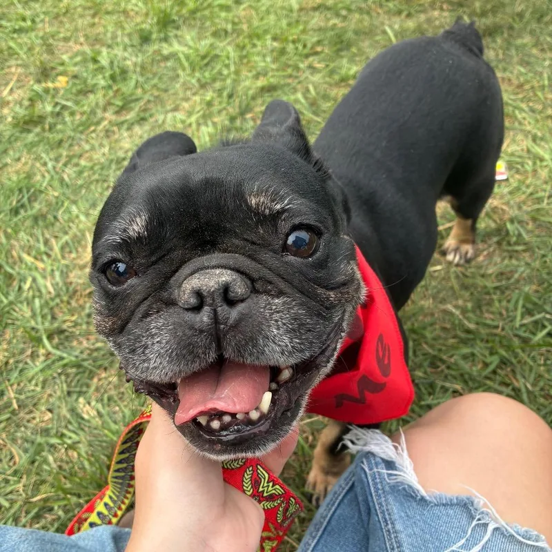 Betty thumbnail 4