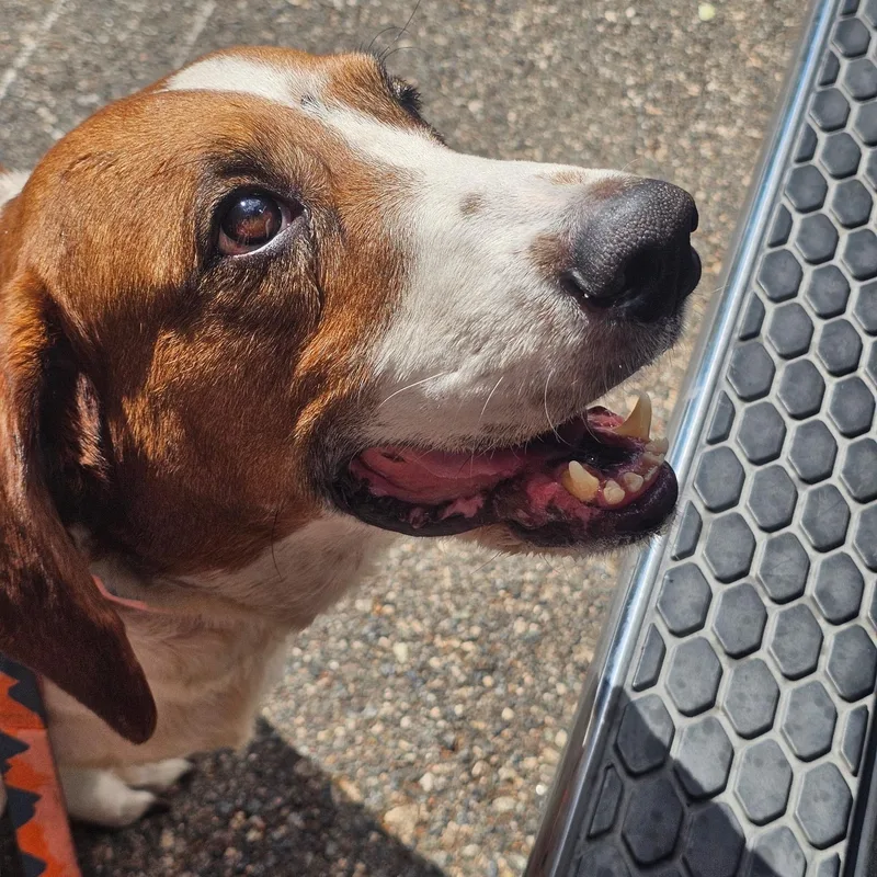 Pluto Potato thumbnail 6