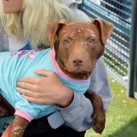 Cinnamon thumbnail 4