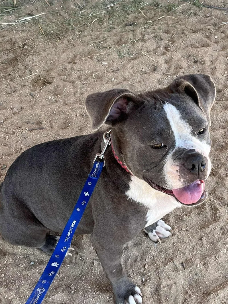 Penelope thumbnail 3