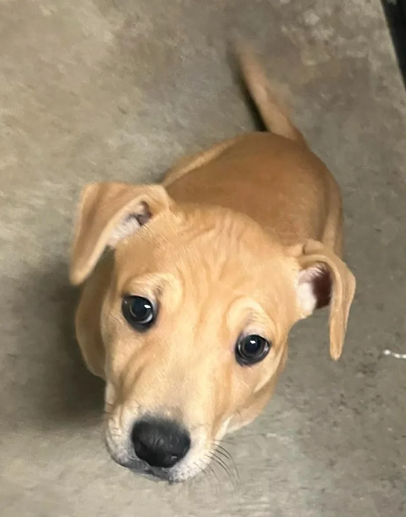 Victoria Mae thumbnail 2