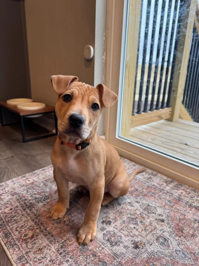 Victoria Mae thumbnail 3