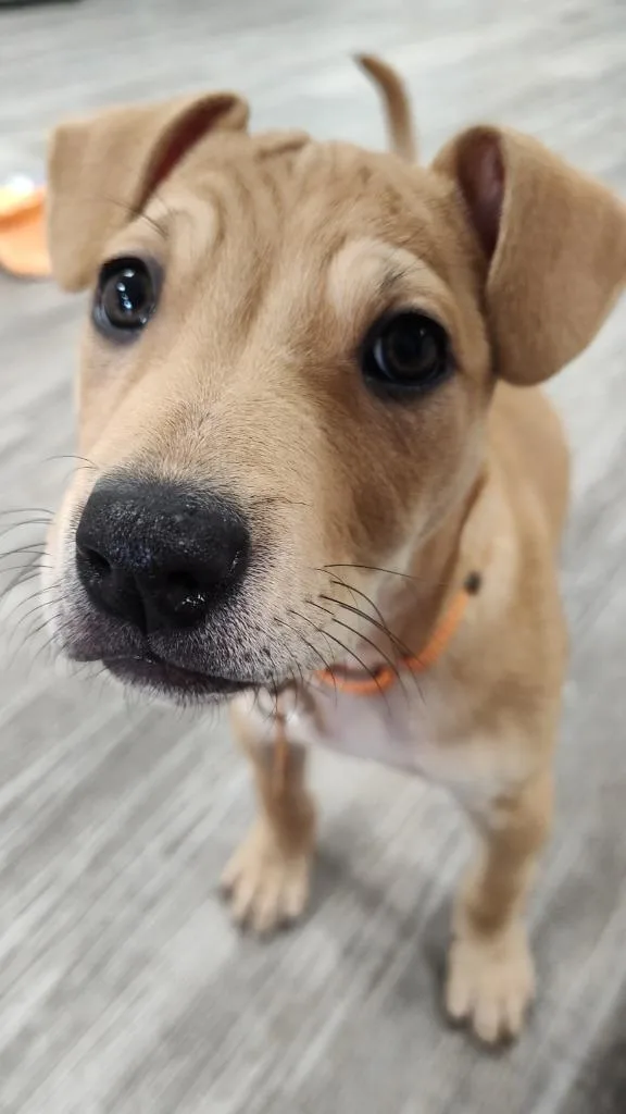 Victoria Mae thumbnail 4