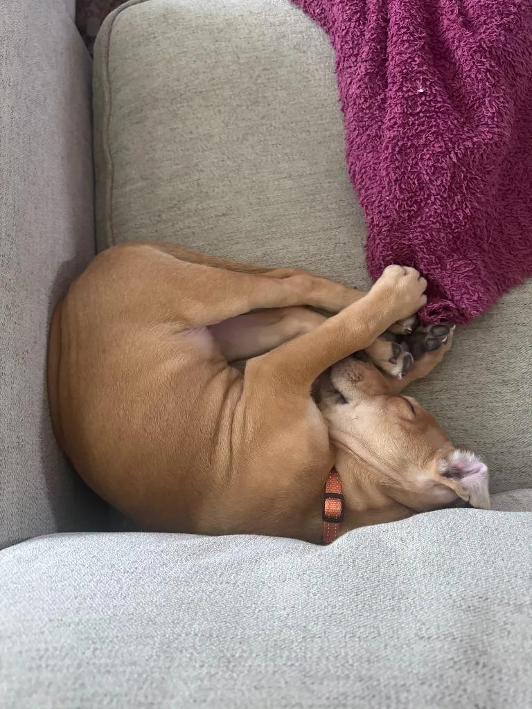 Victoria Mae thumbnail 5