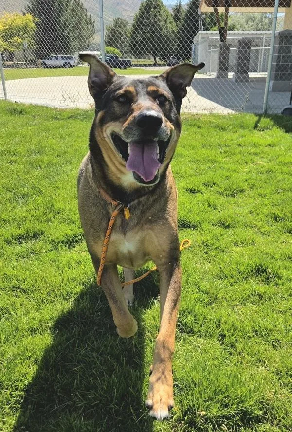 Jax