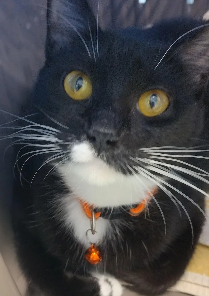 Genny  Center thumbnail 2