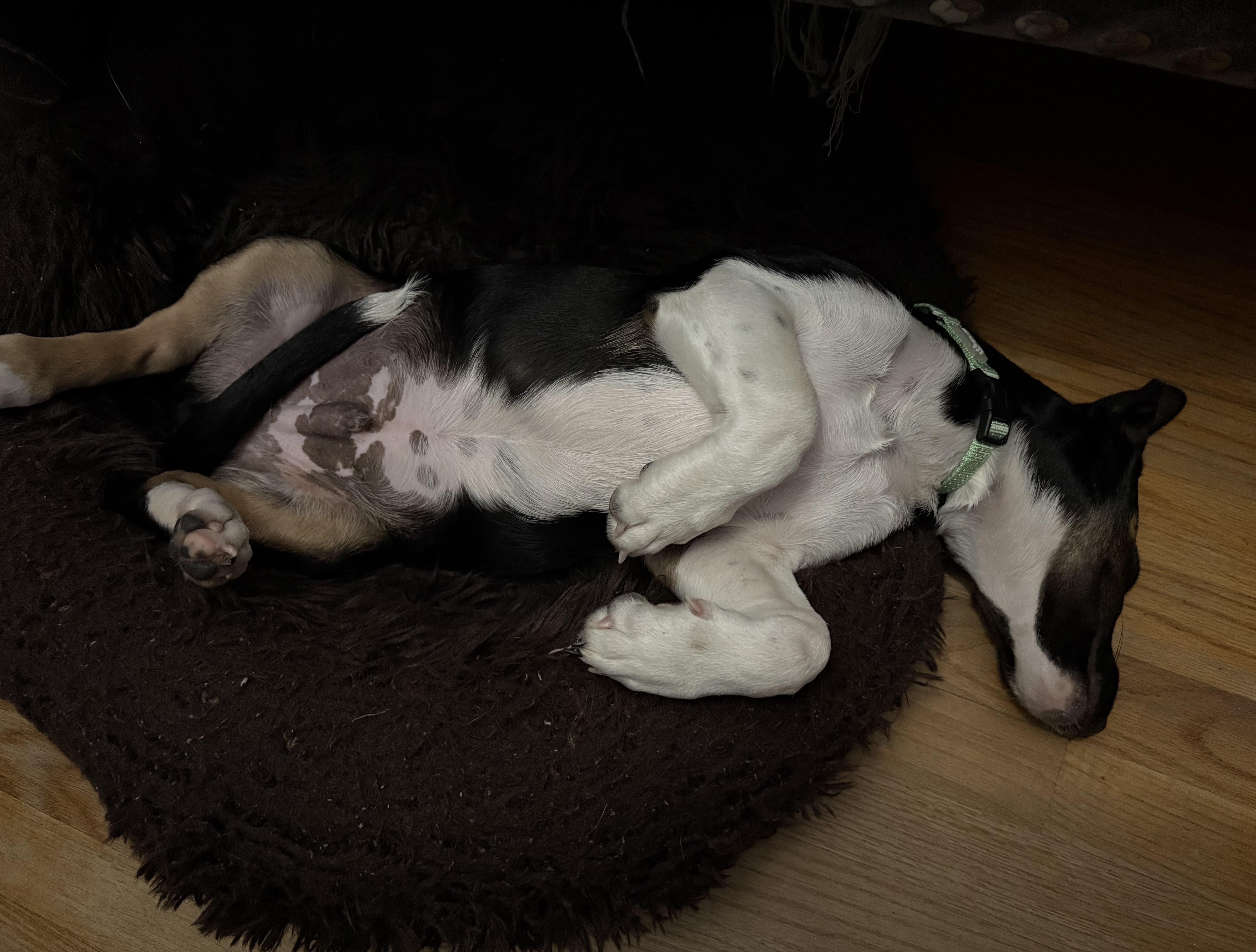 Van Halen thumbnail 2