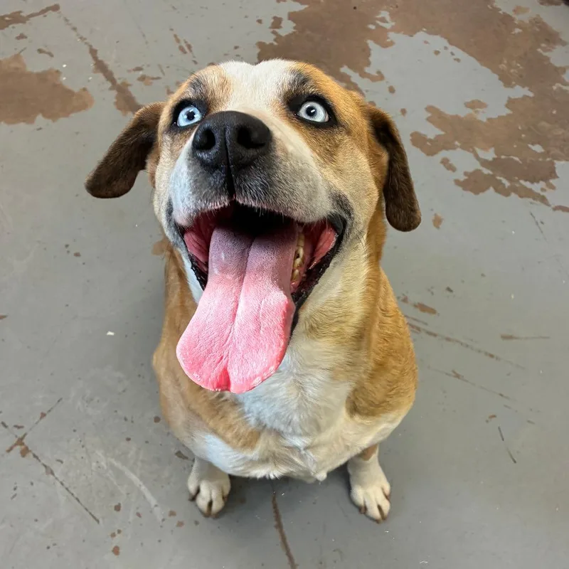 Supernova thumbnail 2