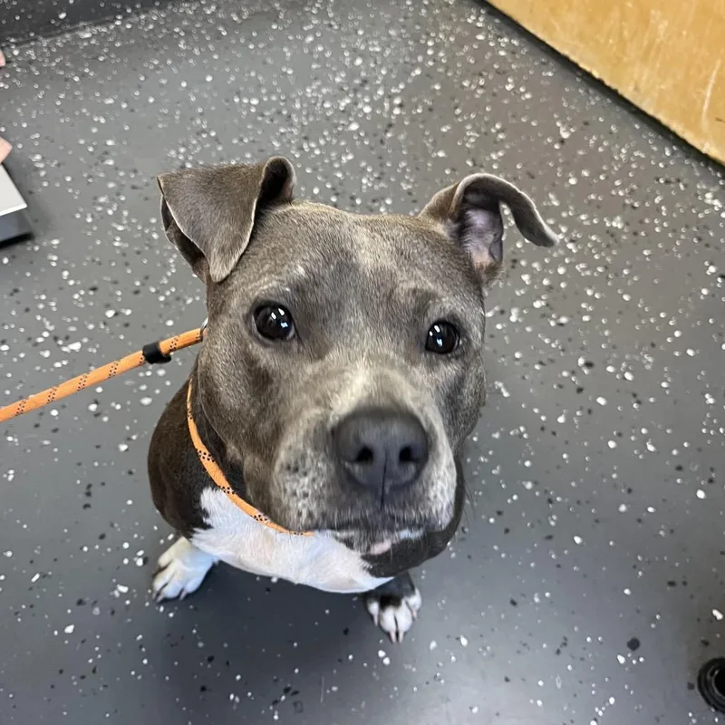 Nila  Was Farrah thumbnail 2