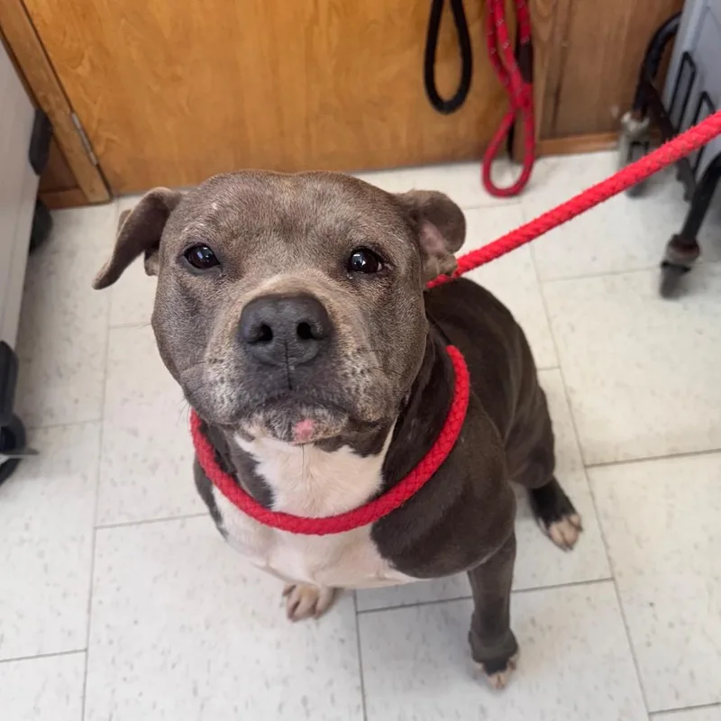 Nila  Was Farrah thumbnail 4