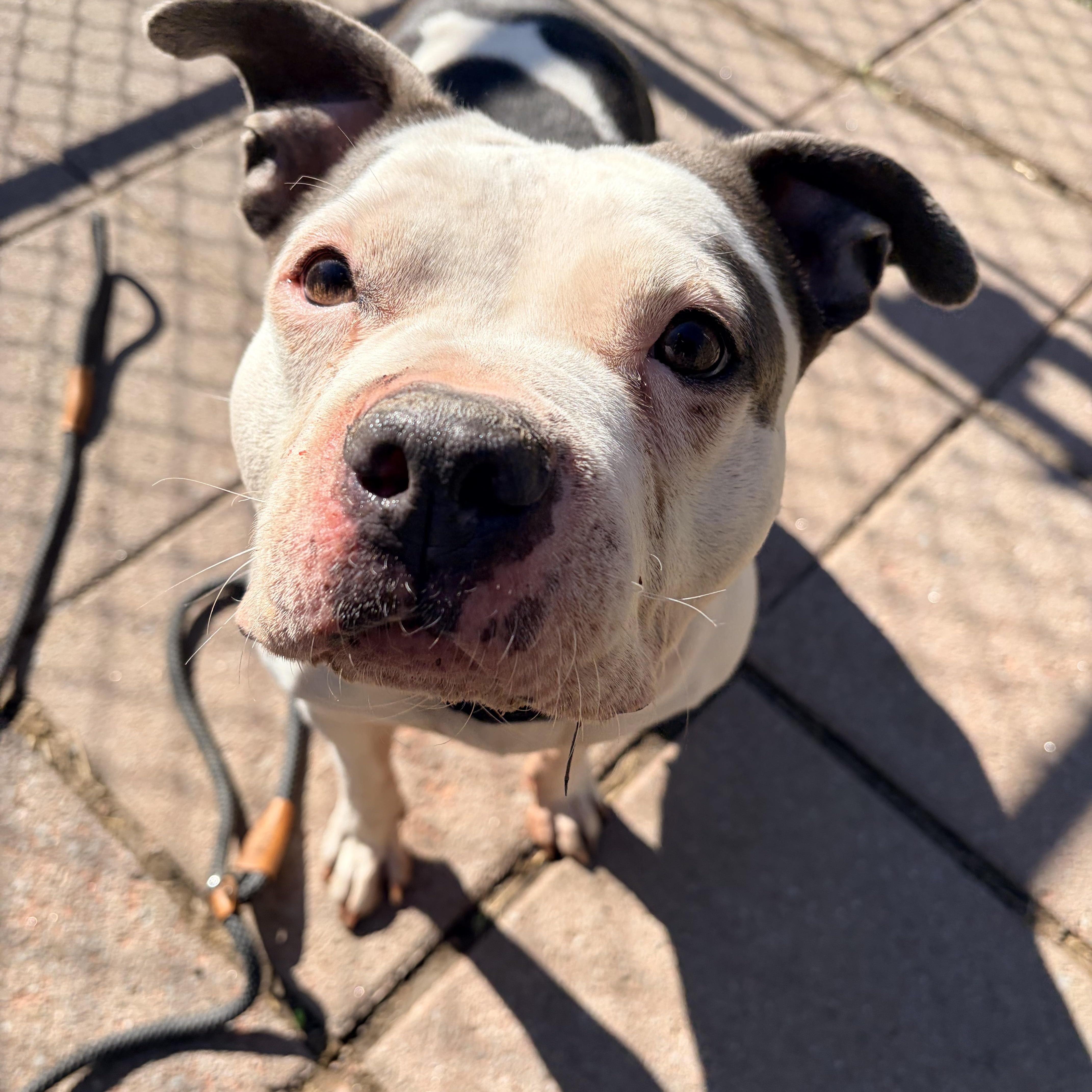 Coda Rae thumbnail 2