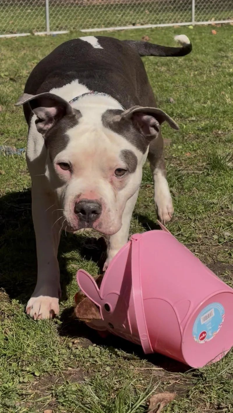 Coda Rae thumbnail 3