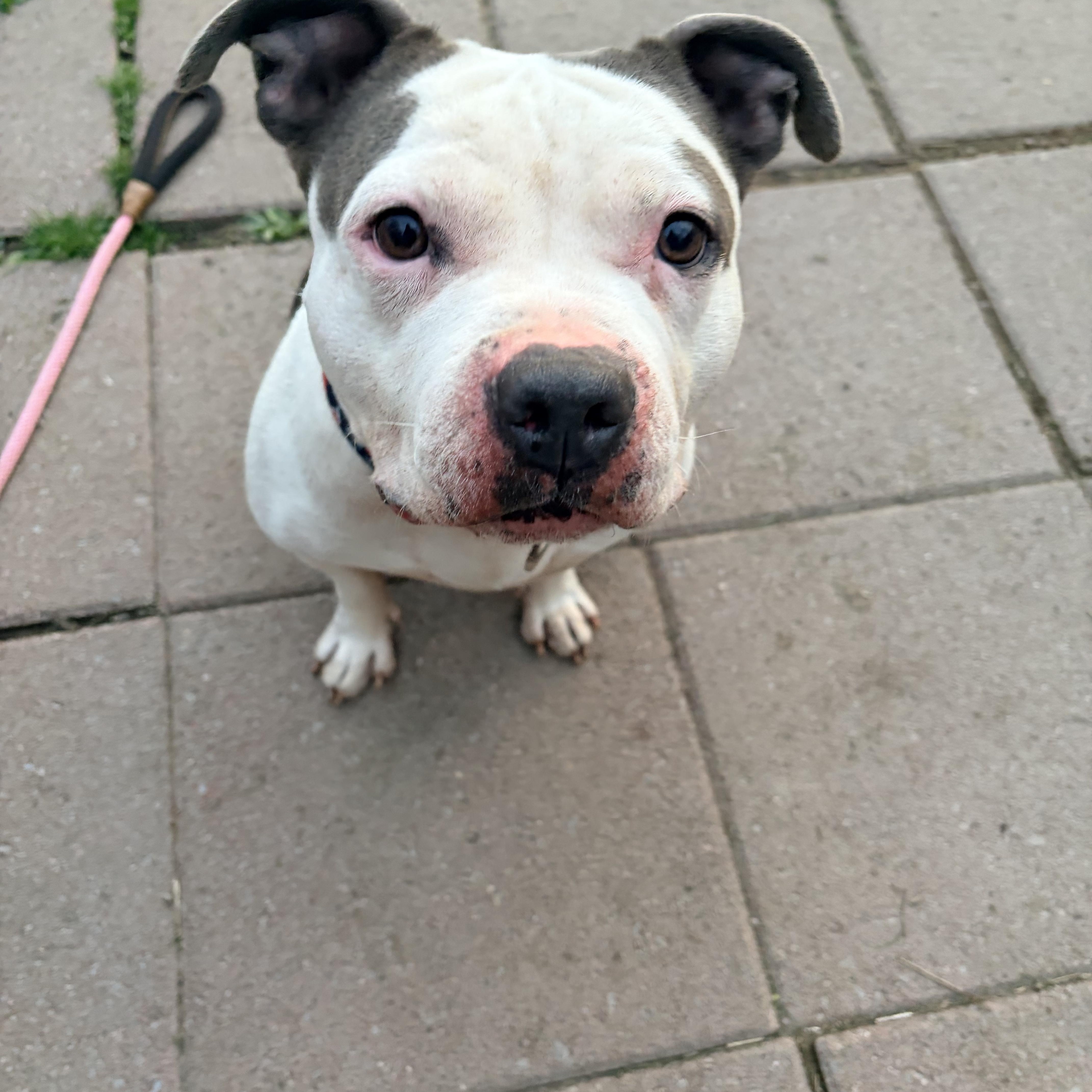 Coda Rae thumbnail 5