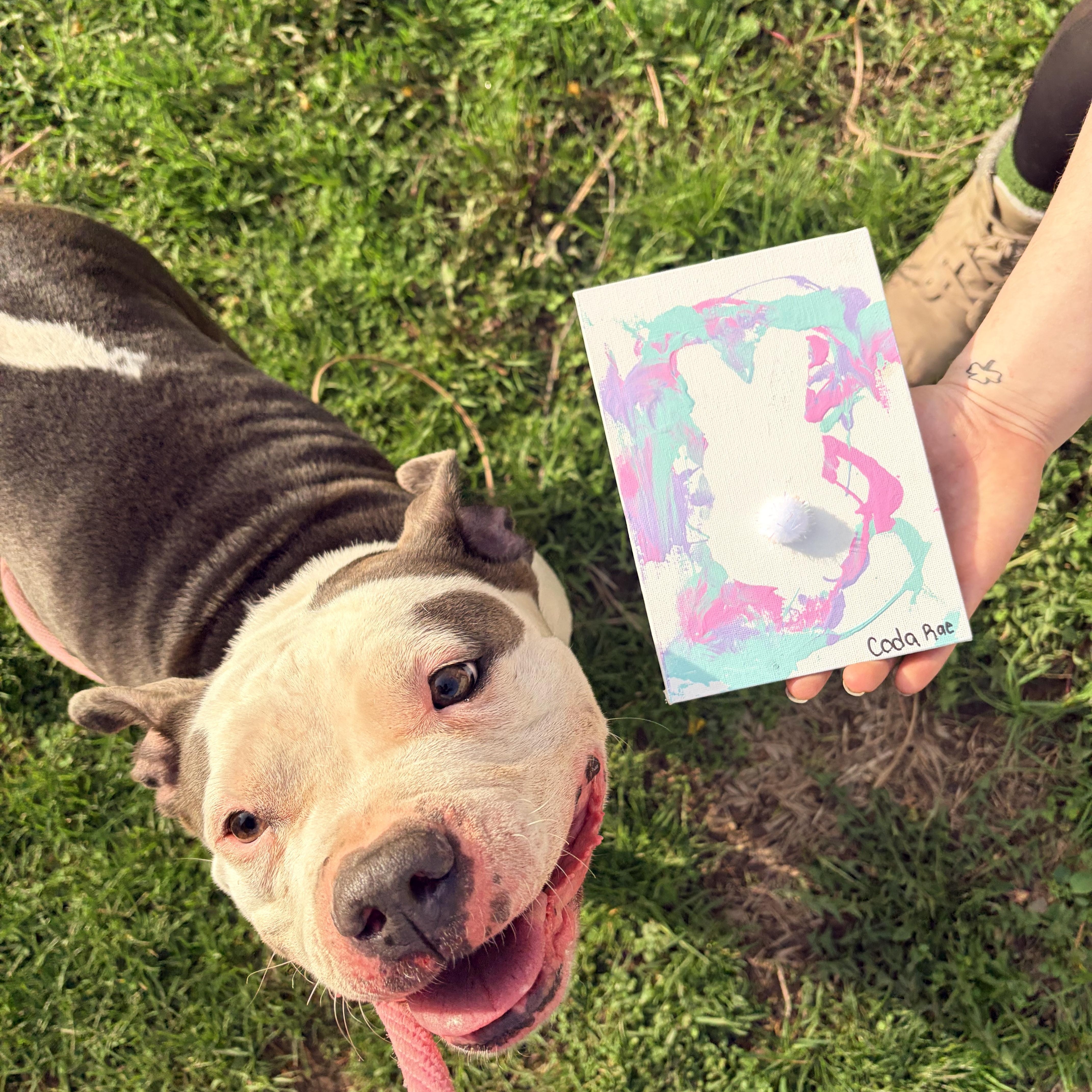 Coda Rae thumbnail 6