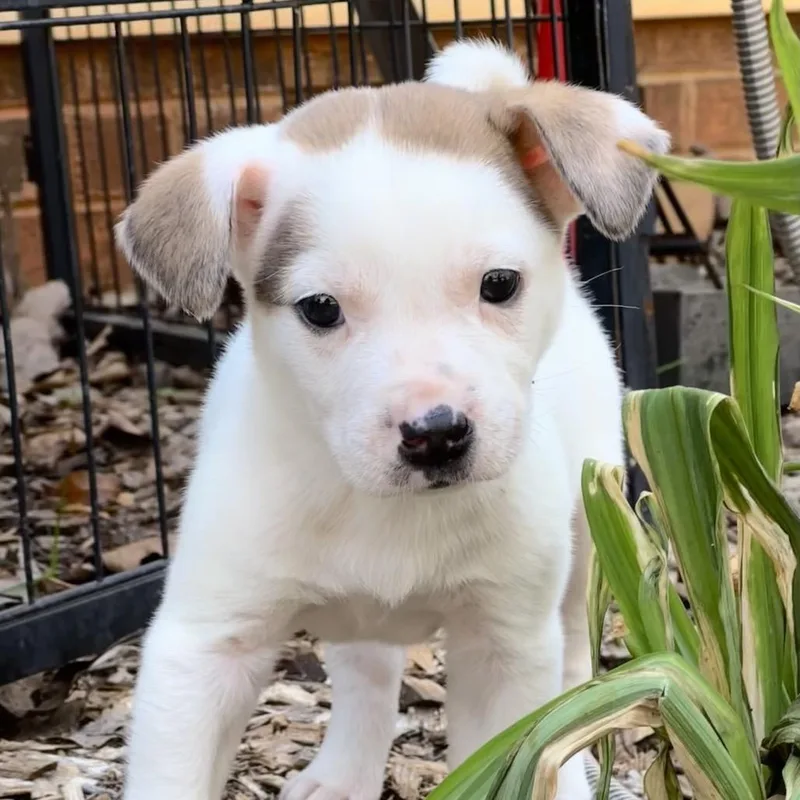 Flynn Rider thumbnail 3