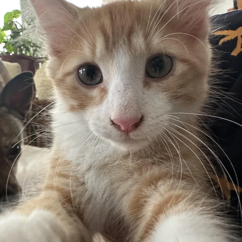 Zita