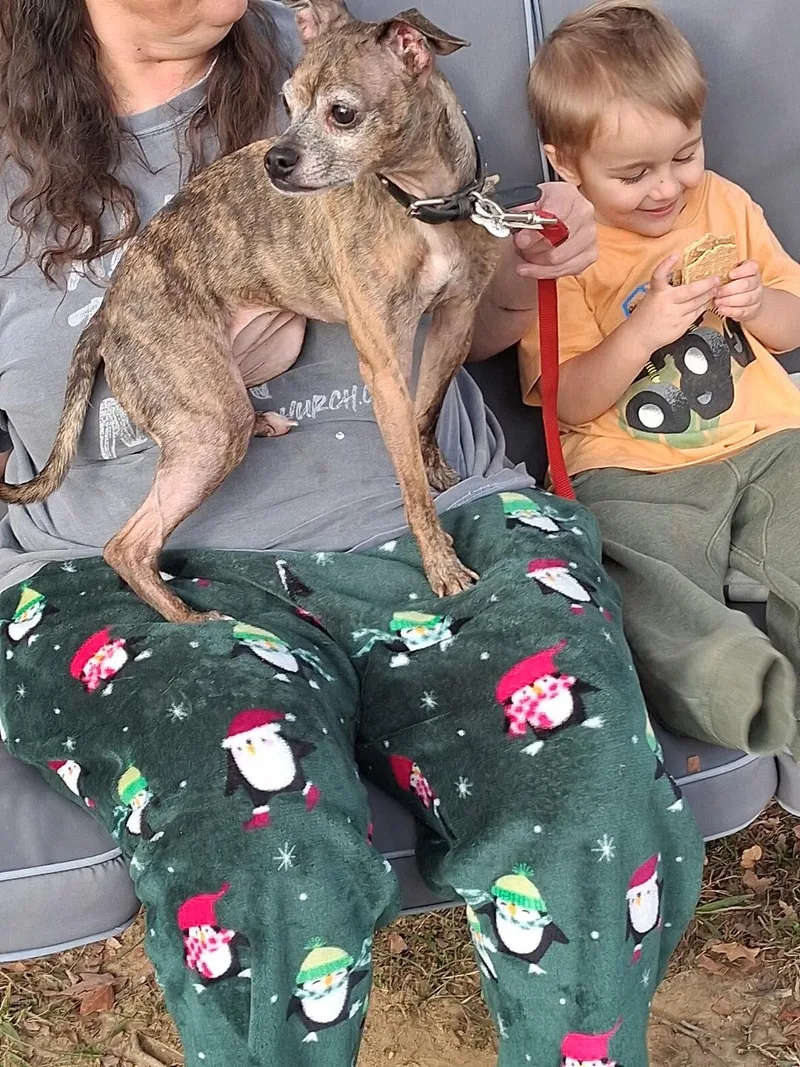 Hassie  Local Dog thumbnail 2