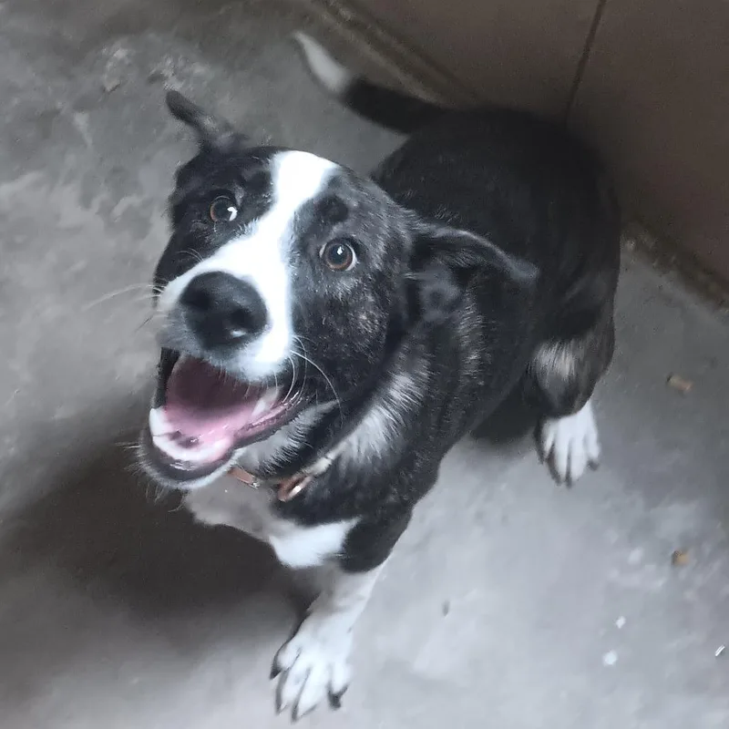 Luka Bean thumbnail 2