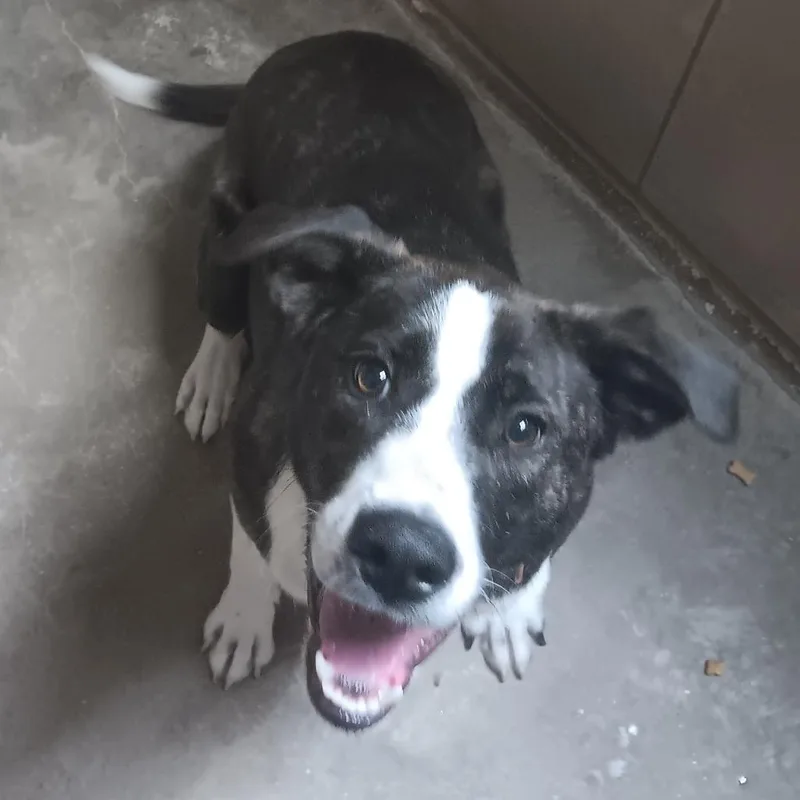 Luka Bean thumbnail 3