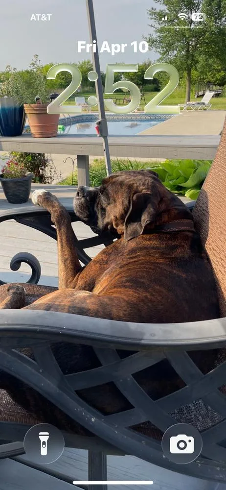 Cd : Leo thumbnail 4