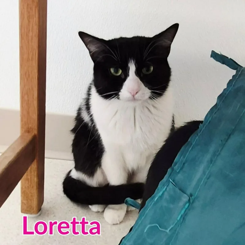 Loretta