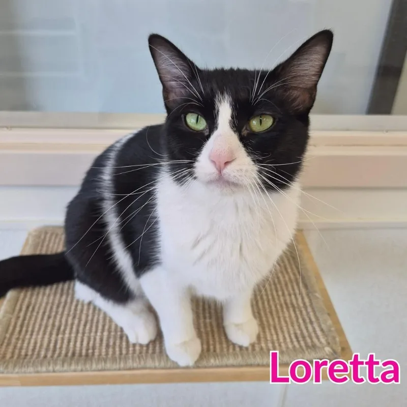 Loretta thumbnail 2