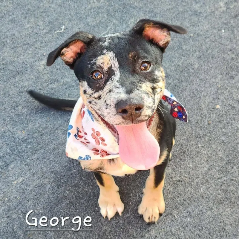 George