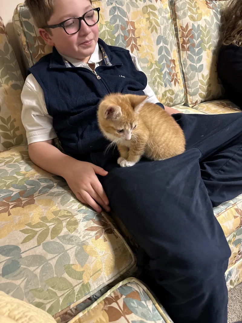 Toby& Mila Bonded Pair thumbnail 3