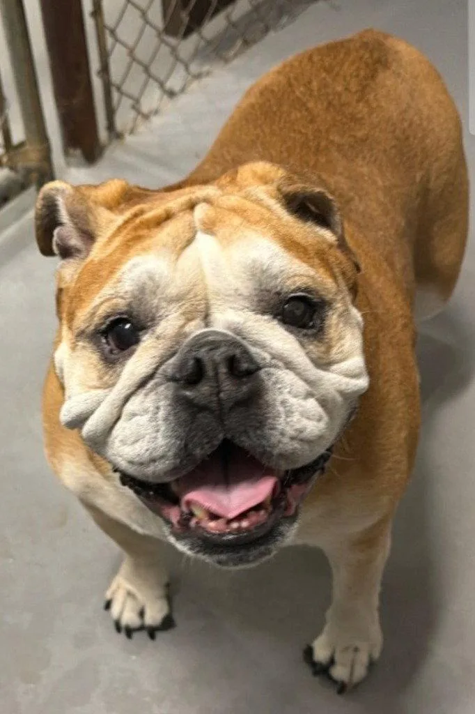 Coco Chanel thumbnail 2
