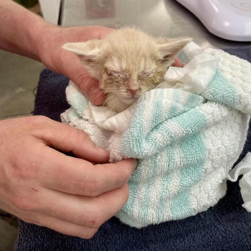Pluto thumbnail 2
