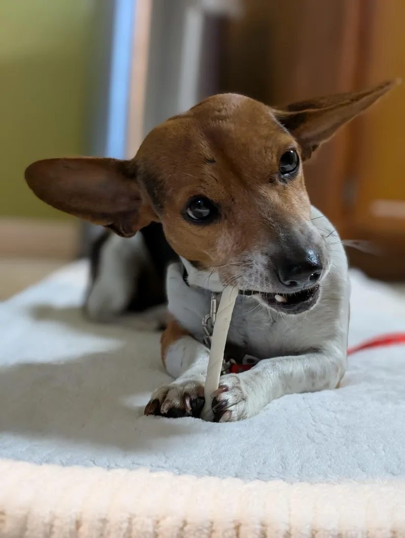 Coletta Slthw thumbnail 3