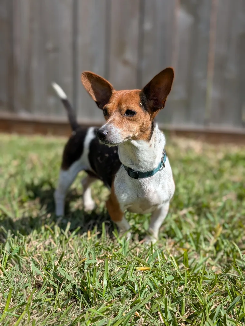 Coletta Slthw thumbnail 4