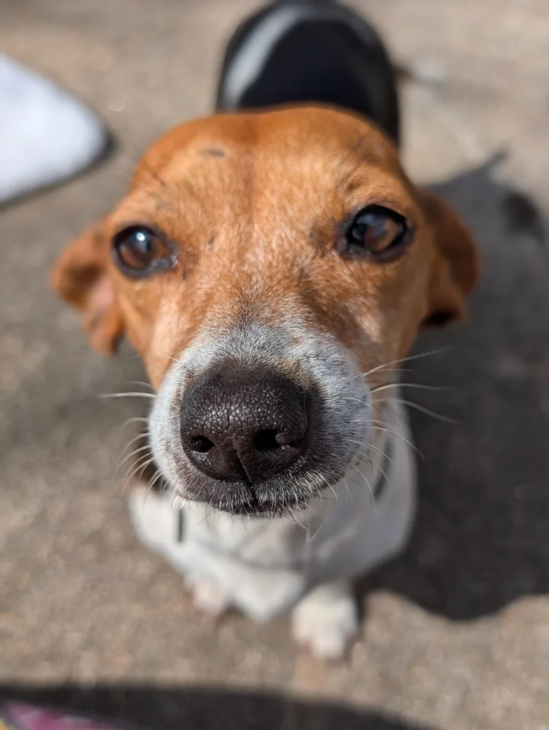 Coletta Slthw thumbnail 5