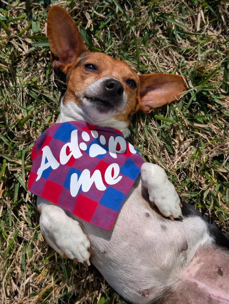 Coletta Slthw thumbnail 6