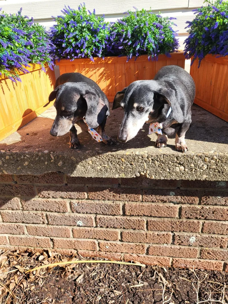 Molly And Jake thumbnail 2