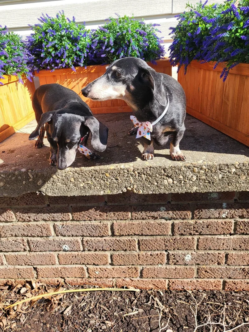 Molly And Jake thumbnail 3