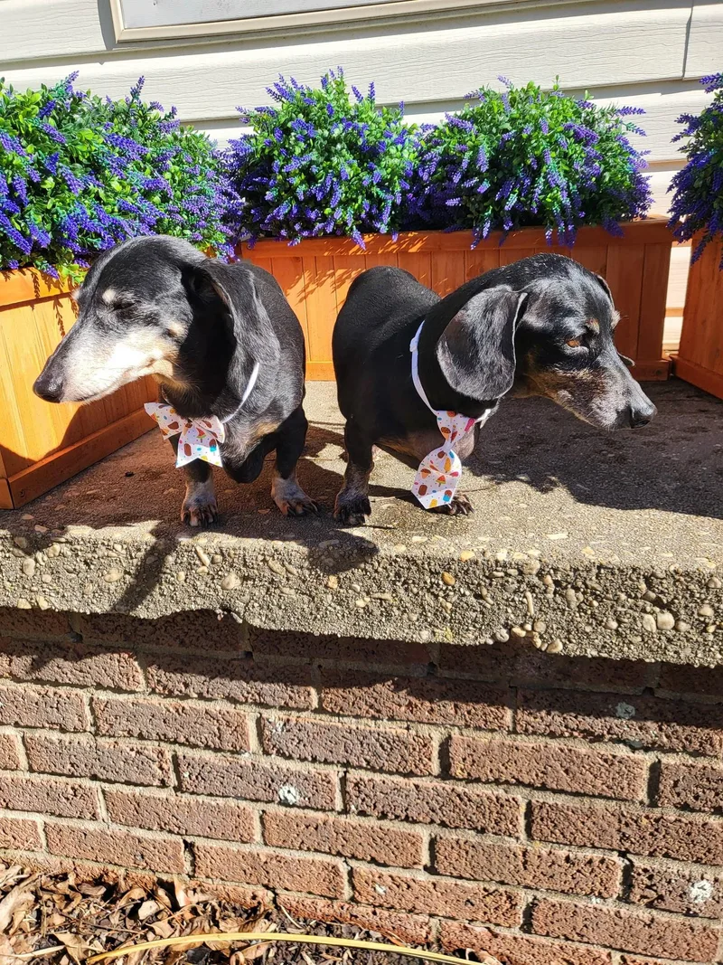 Molly And Jake thumbnail 4