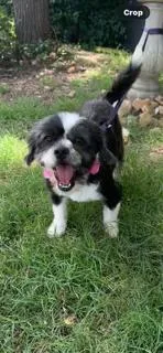 Laverne thumbnail 2