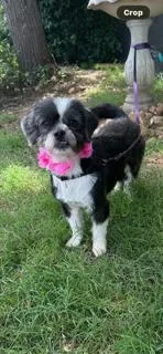 Laverne thumbnail 3