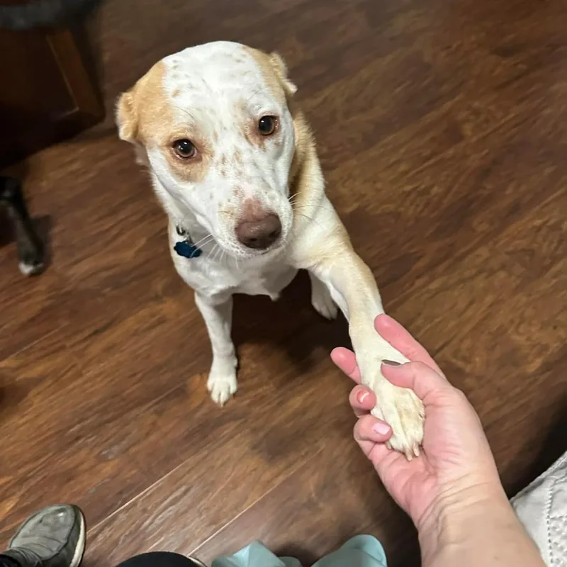 Sally Sue thumbnail 2