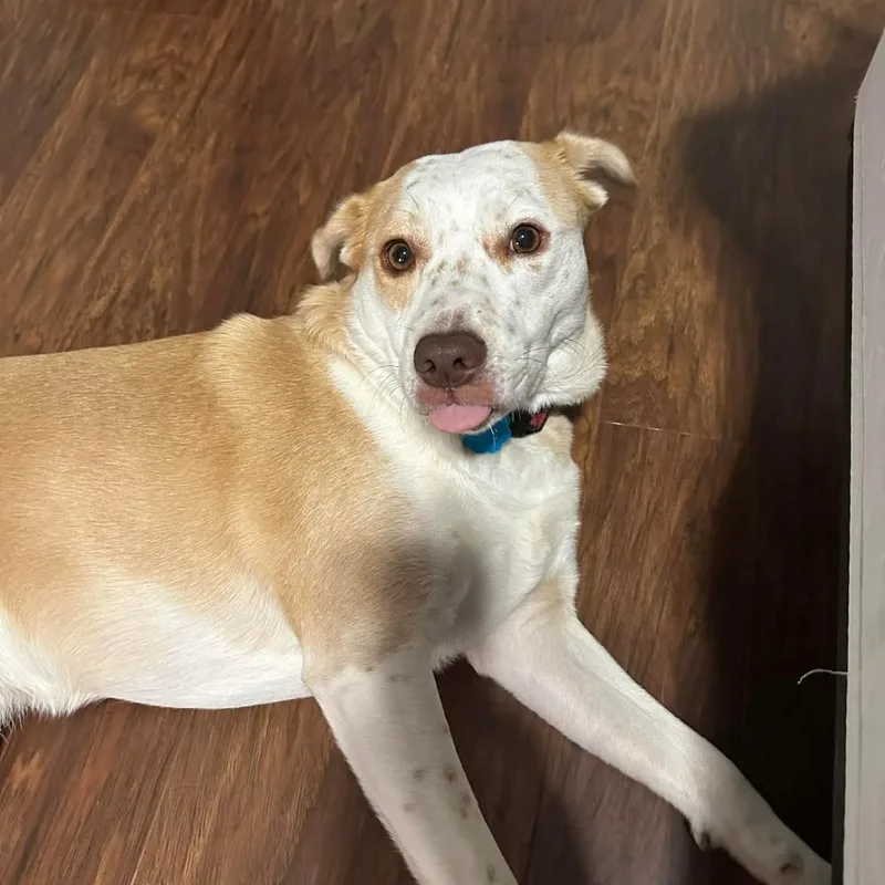 Sally Sue thumbnail 3