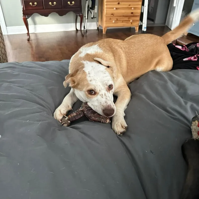 Sally Sue thumbnail 4