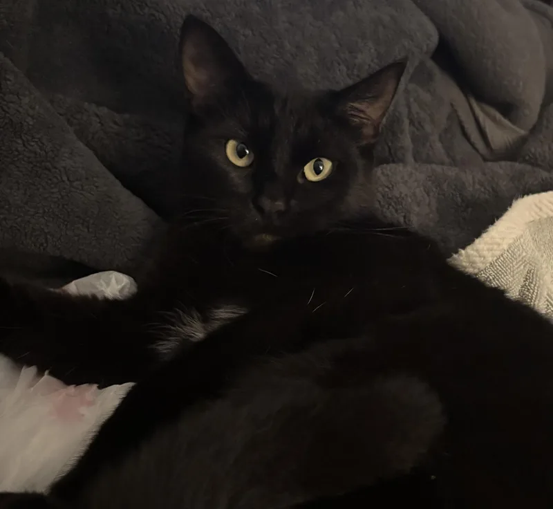 Solstice thumbnail 2