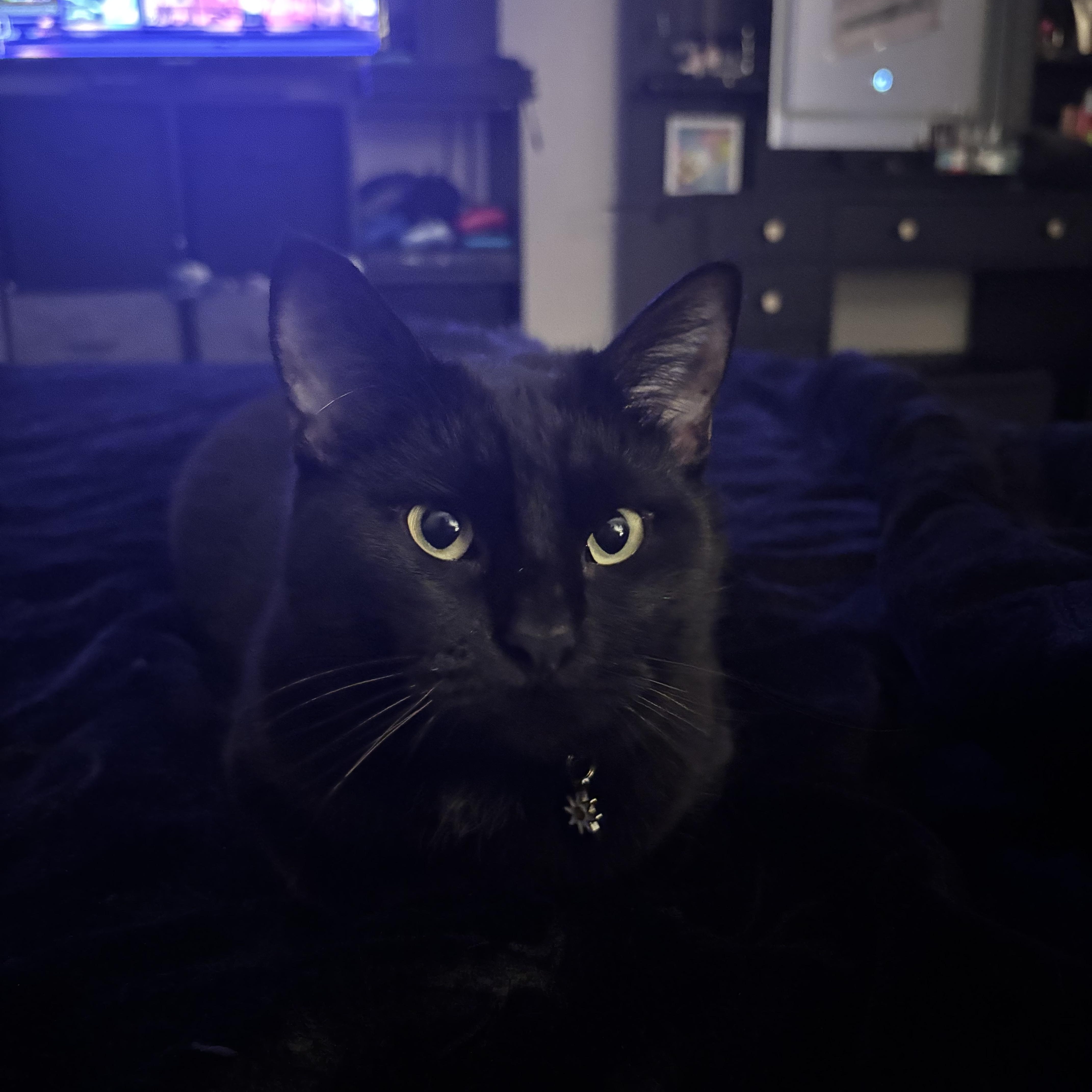 Solstice thumbnail 4