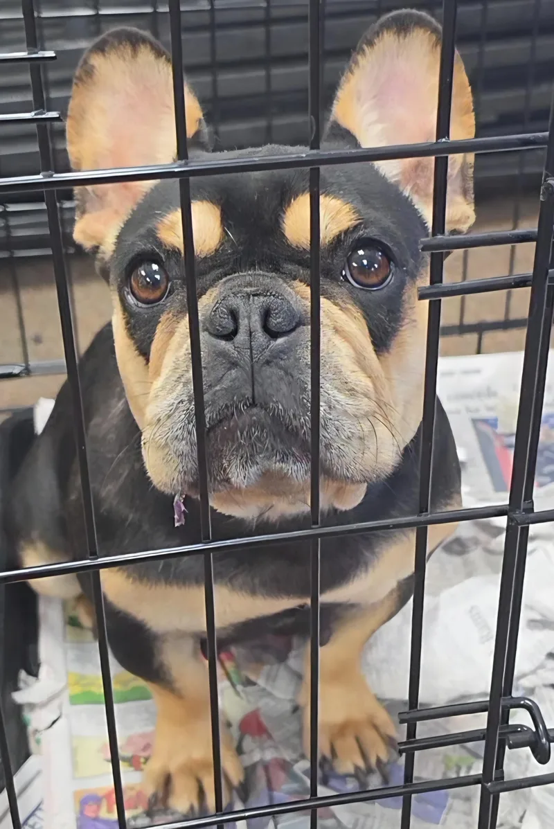 Matilda