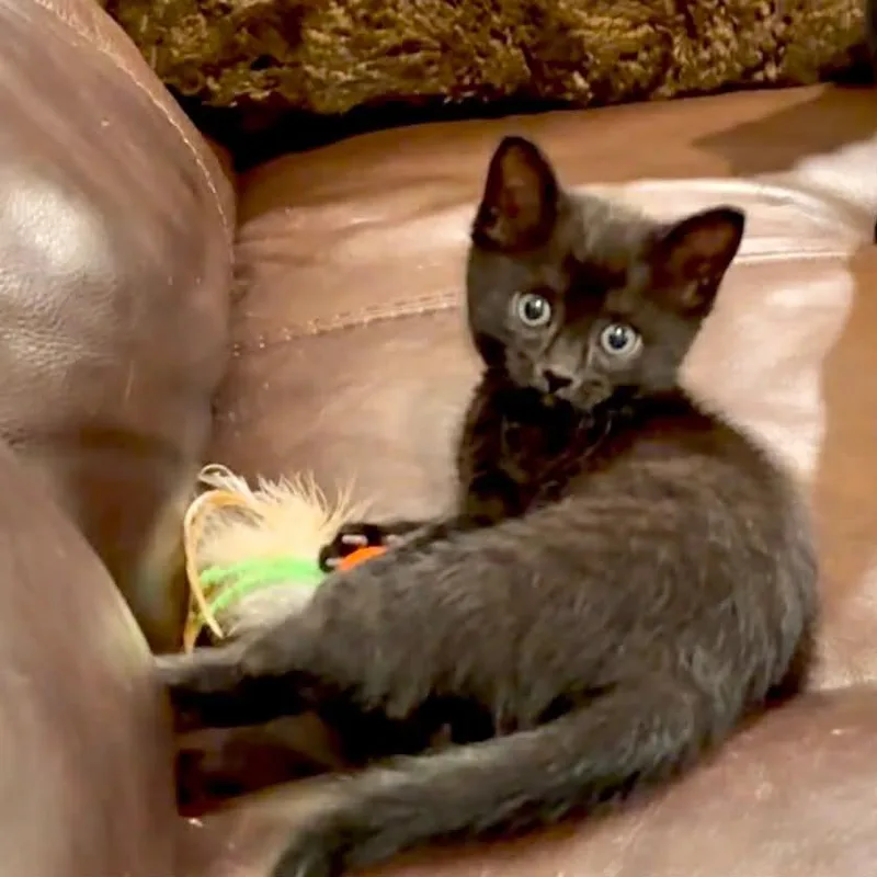 Maggie thumbnail 2
