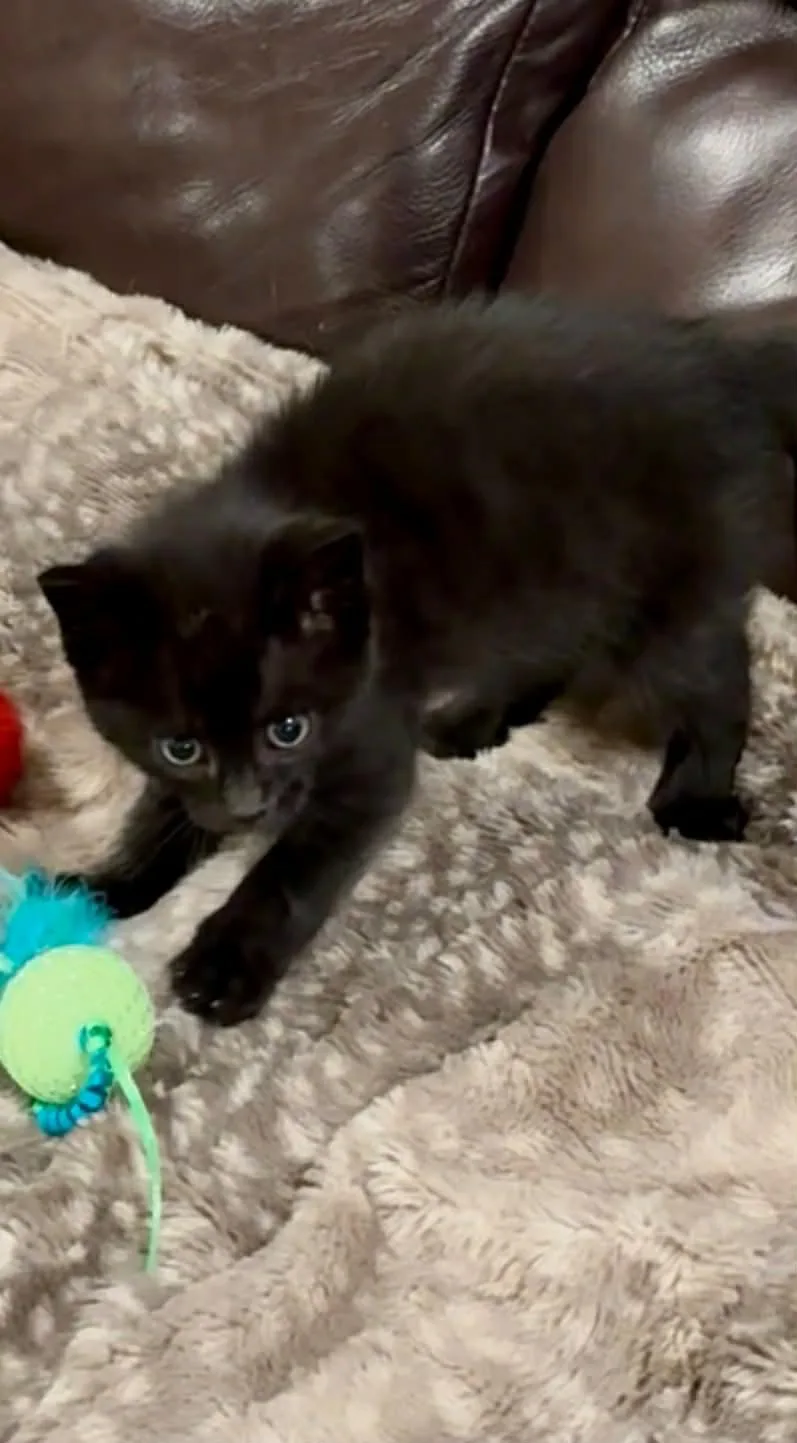 Maggie thumbnail 5