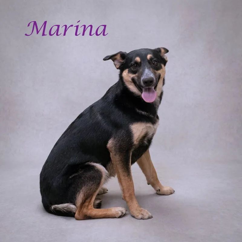 Marina D thumbnail 2