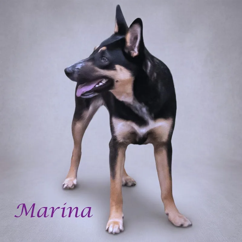 Marina D thumbnail 3